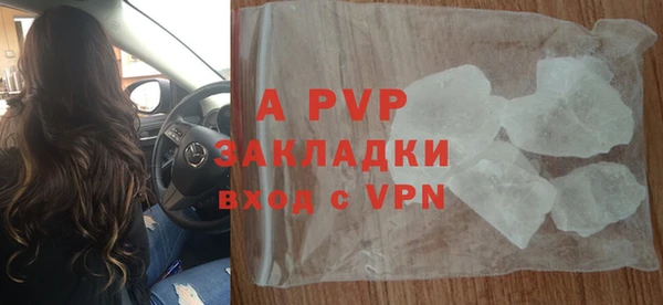 крисы Абаза