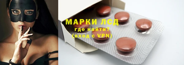 крисы Абаза