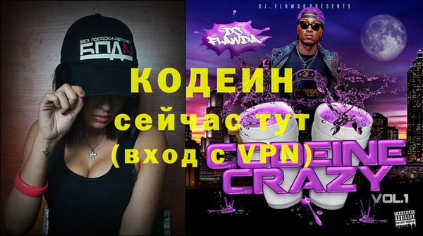 крисы Абаза