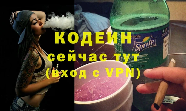 крисы Абаза