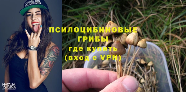 мескалин Горно-Алтайск