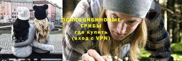 крисы Абаза