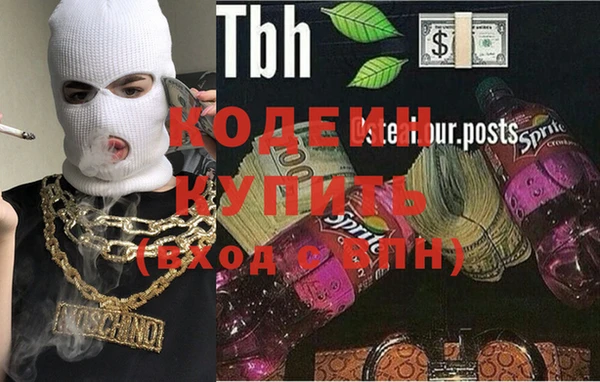 крисы Абаза
