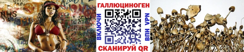 Галлюциногенные грибы MAGIC MUSHROOMS  Ханты-Мансийск 